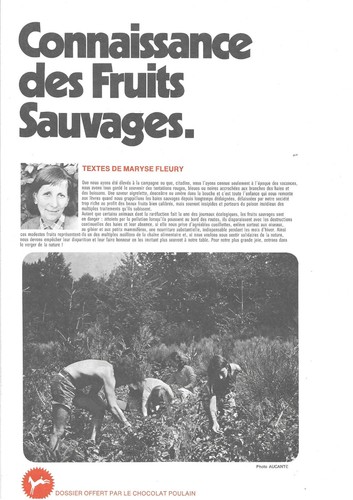 Poulain connaissance des