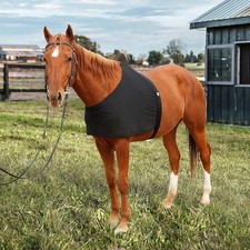 Gilet de protection pour épaule de cheval, gilet de protection pour garrot,