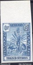 MADAGASCAR ZEBU ESSAI