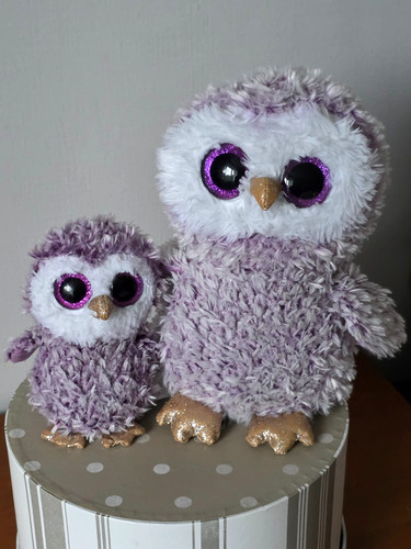 Chouettes moonlight 25 et - chouettes,