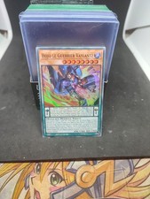 Hojo le Guerrier Vaylantz