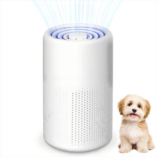 Purificateur air pour - purificateur,