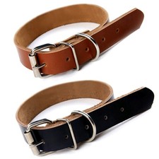 Collerette Chien Collier