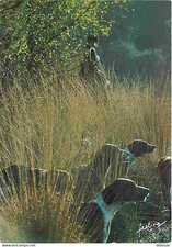 Animaux - Chiens - Chasse à