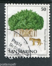 SAINT-MARIN - SAN MARINO, 1979, timbre 990, FLORE, FICUS BENGHALENSIS, oblitéré