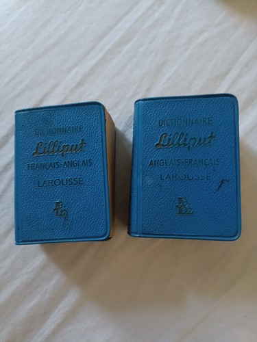 Lot dictionnaires - ,