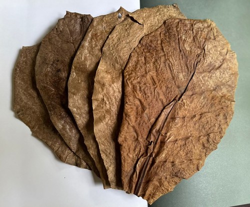Sri lanka dried natural - sri,