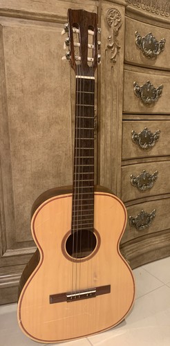 Vintage giannini awn - vintage,