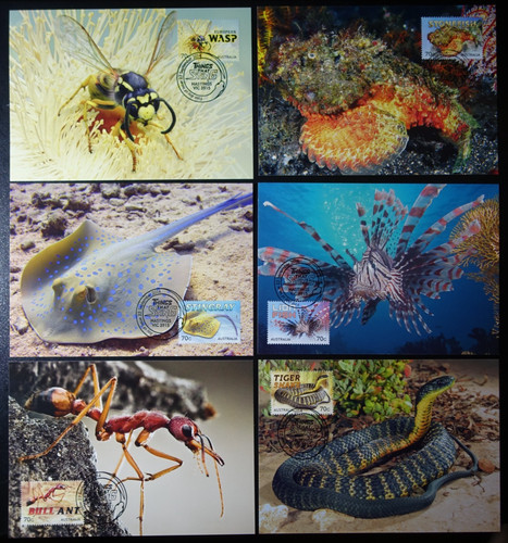 Australie animaux piquants - -,