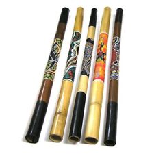 Bambou Didgeridoo Autochtone