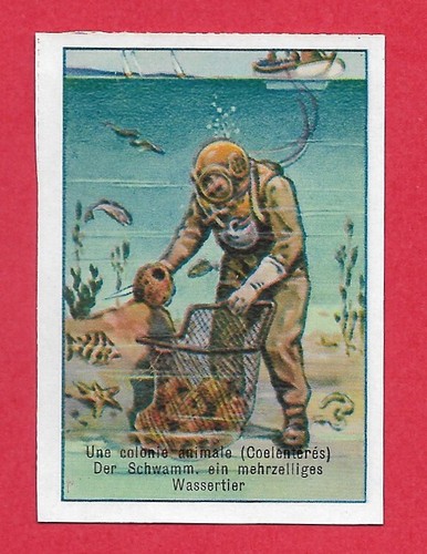 Poster stamp swiss - poster,
