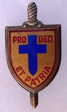 Prototype DRAGO Insigne