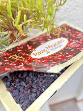 Raisin Sec Moscatel De Malaga Qualité Extra BIO 1 KG