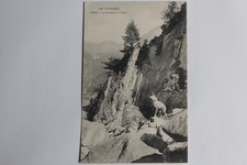 CPA Les Pyrénées La Chasse