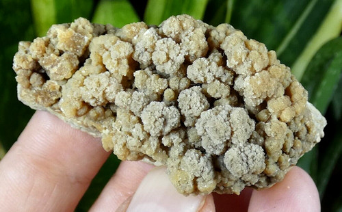 Cristallisation aragonite - cristallisation,