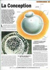 Fascicule Notre Monde - Le corps Humain - La Conception