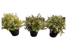 IKEA Plante Artificielle en