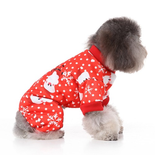 Vetement petit chien - vetement,