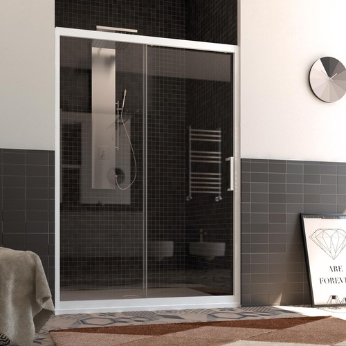 Porte douche niche pvc verre - porte,