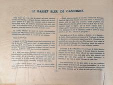 Chien, Chasse, Basset Bleu de