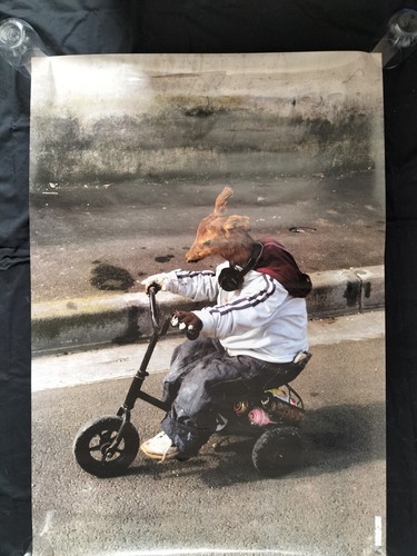 Dran humanidad estafa - humanidad,