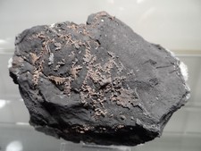 ARGENT NATIF SUR ARSENIC ERZGEBIRGE ALLEMAGNE 9,5x7,5x4 cm 913g