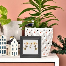  Cadres D'affichage De Fleurs