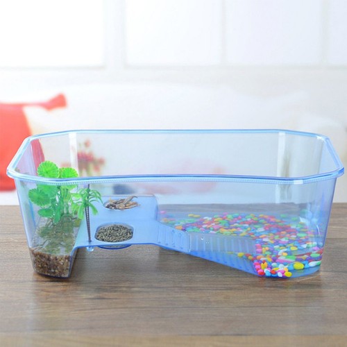 Terrarium tortue cage - tortue,