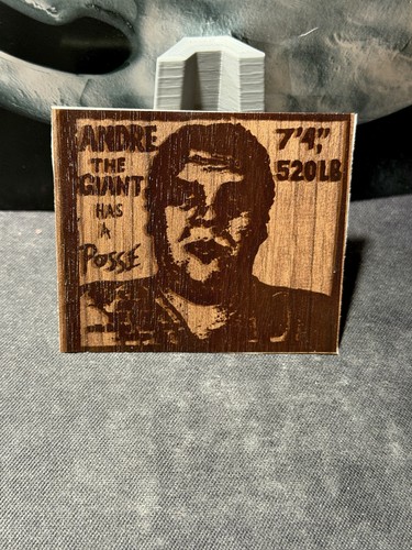 Andre the giant has posse - the,