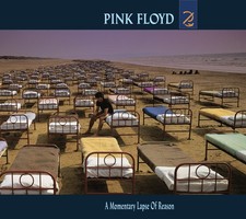 Pink Floyd A Momentary Lapse of Reason (Vinyl) 12" Album