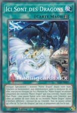Yu-Gi-Oh! Ici Sont des Dragons : C ALIN-FR061