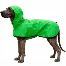 Impermeable Chien Chemise à