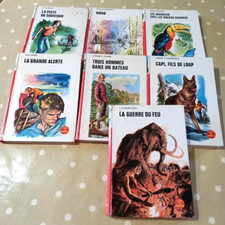 Lot 7 Livres Rouge Et Or Souveraine Ancien Jeunesse Fille Garçons 1970s ancien
