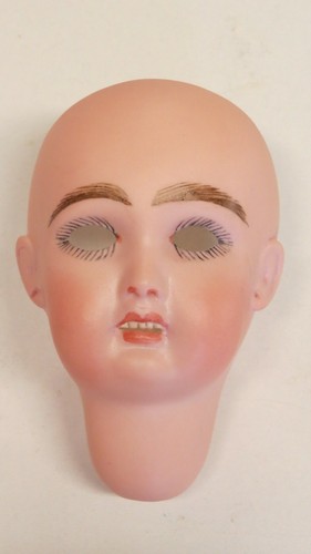 Tête seule reproduction de - tête,