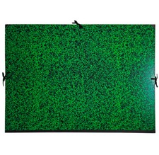 [532800E] EXACOMPTA Carton à