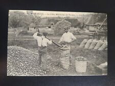 Carte postale En Normandie Le Cidre Mise En Sac De Pommes 367 cécodi réédition
