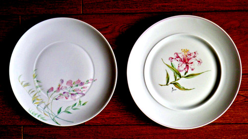 Assiettes porcelaine de - porcelaine,