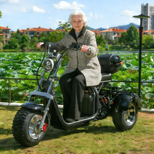 Max load capacity for electric