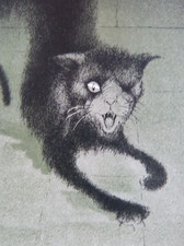 Edgar Allan POE, "La Chute de