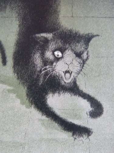 Edgar allan poe chute de - "la,