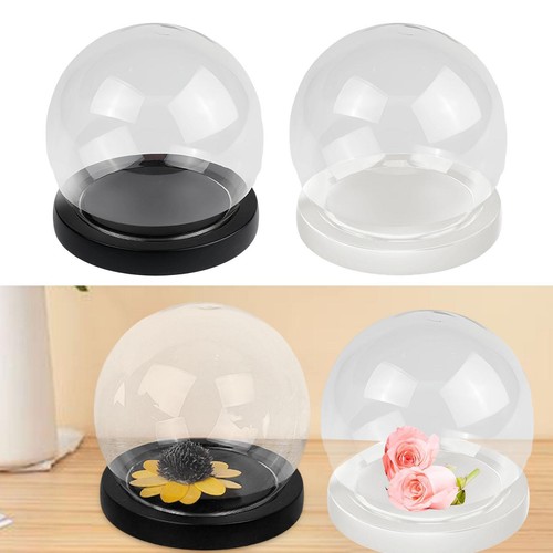 Cloche verre globe en - cloche,