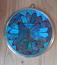 Medaillon papillon Morpho du