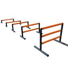 Move and stic - Chien