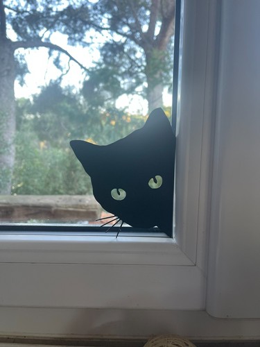 Décoration fenêtre chat noir - chat,