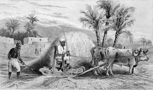 égypte machine artisanale - Égypte,