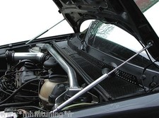 2 VERINS CAPOT INOX POLI BMW