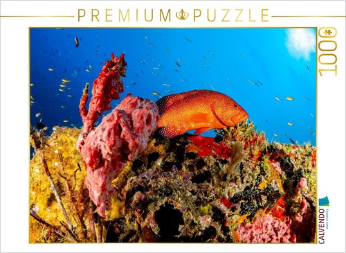 Calvendo puzzle - calvendo,