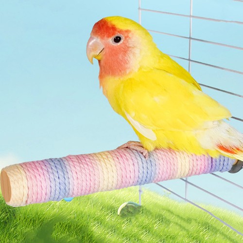 Perchoir pour perroquet - ,