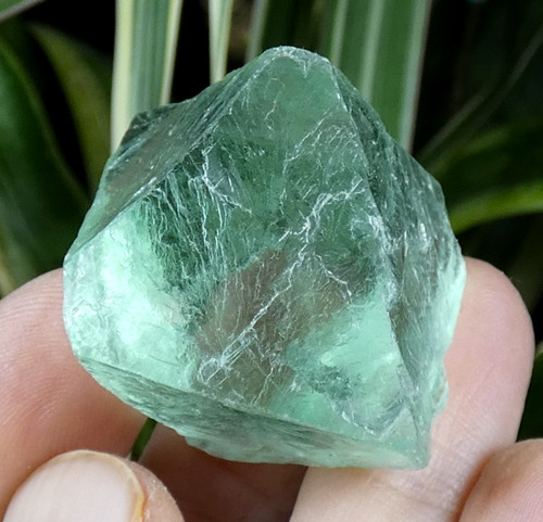 Fluorite verte octaédrique