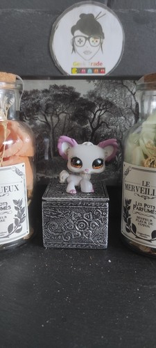 Littlest petshop pet - my,
